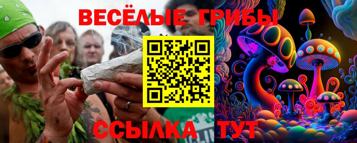 Псилоцибиновые грибы Magic Shrooms  Вход с VPN  Энгельс 