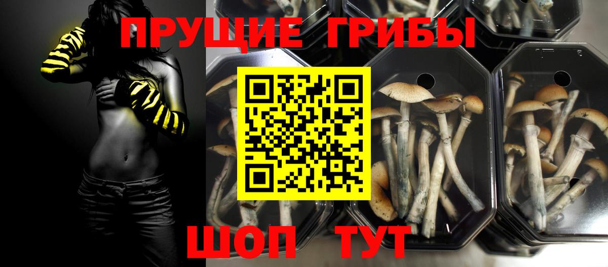 Галлюциногенные грибы ЛСД Энгельс