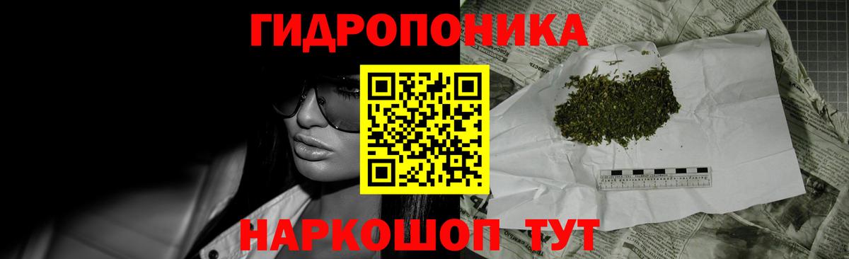 Конопля план Энгельс